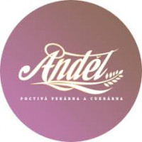 Logo Anděl back s.r.o.