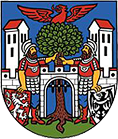 Logo Město Hostinné